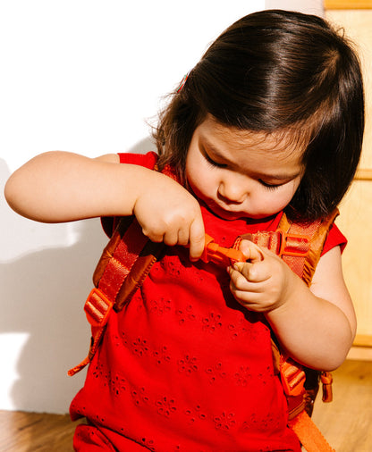 Caraa Kids Backpack for Ages 2-5