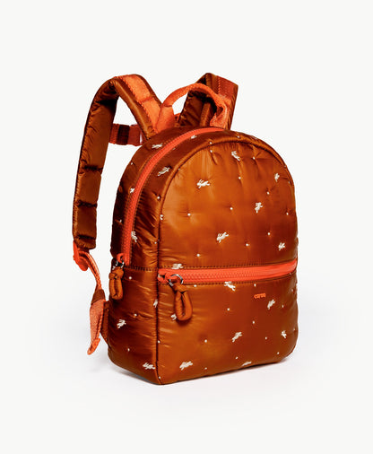 Caraa Kids Backpack for Ages 2-5