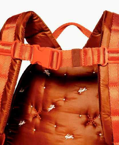 Caraa Kids Backpack for Ages 2-5