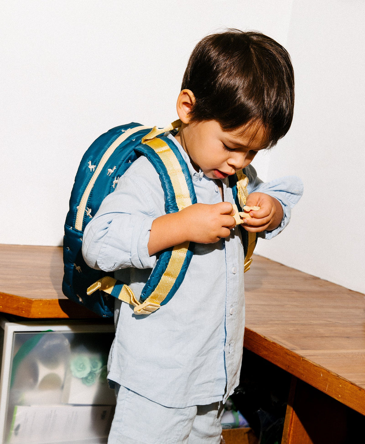 Caraa Kids Backpack for Ages 2-5
