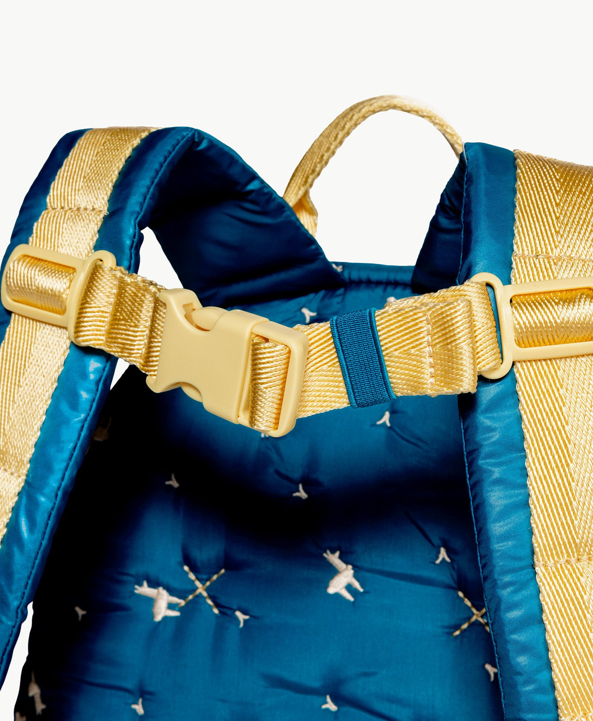Caraa Kids Backpack for Ages 2-5