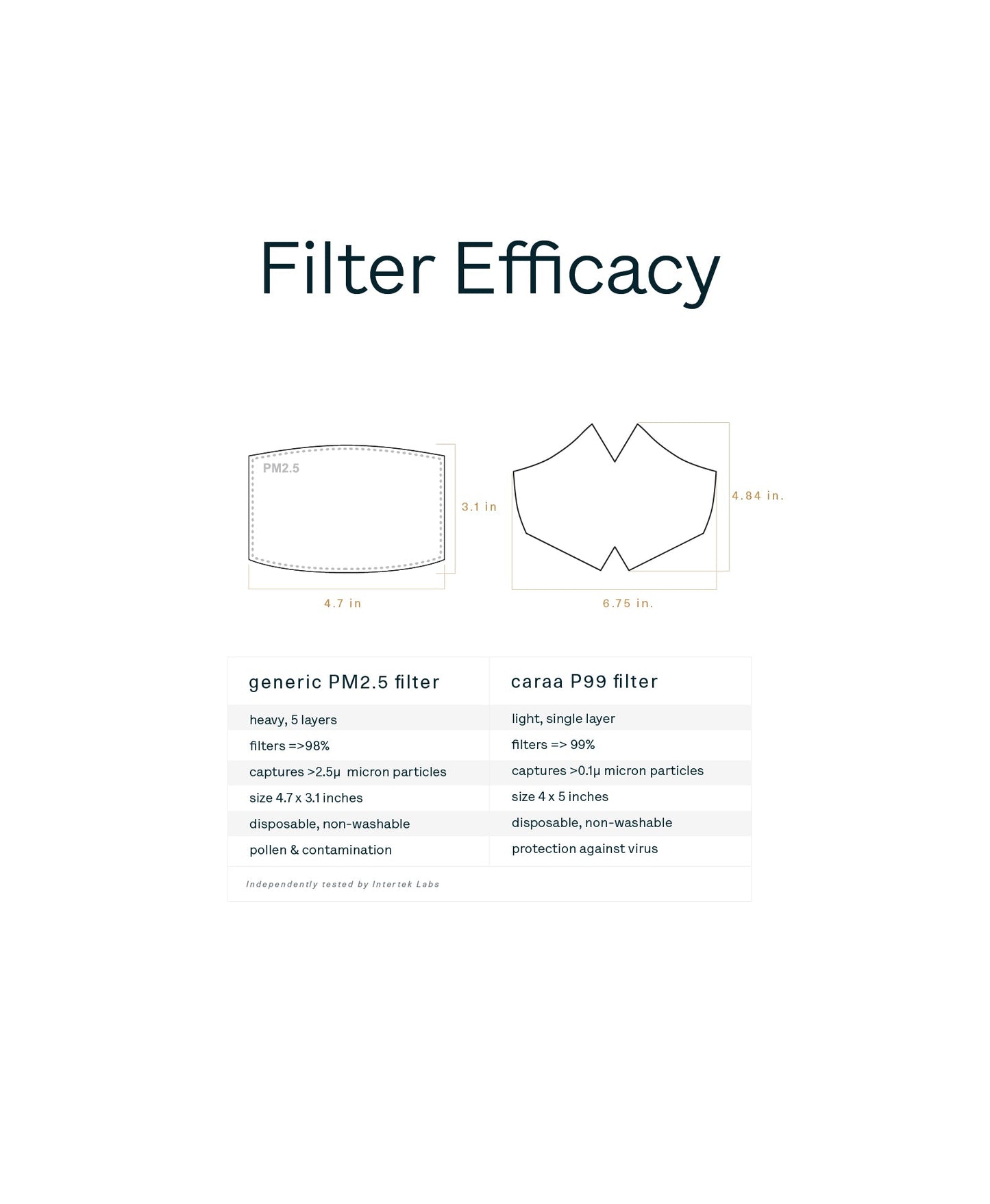 Caraa 25 Fitted Mask Filters